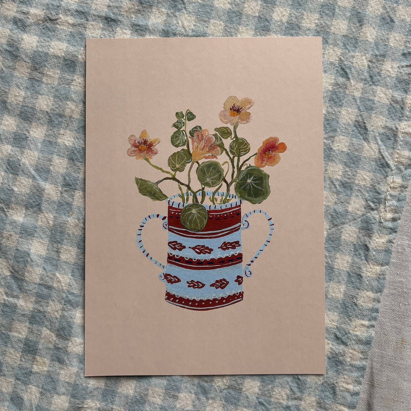 Harriet Watson | Apricot Nasturtium